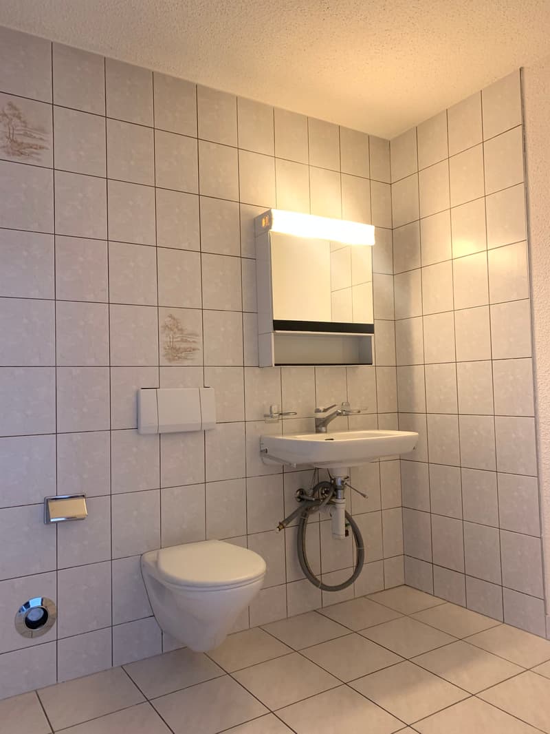 Appartement de 3,5 pièces (8)