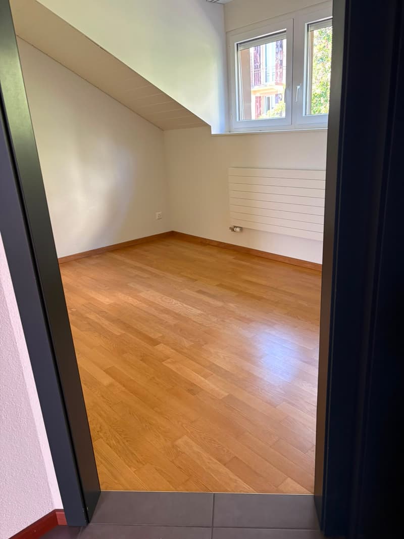 Bel appartement de 2,5 pièces (6)