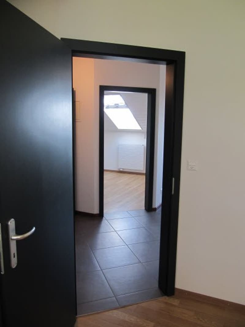 Bel appartement de 2,5 pièces (4)