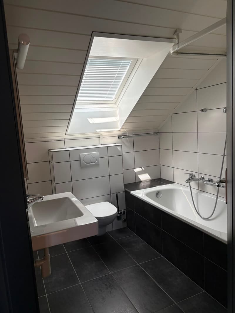 Bel appartement de 2,5 pièces (4)