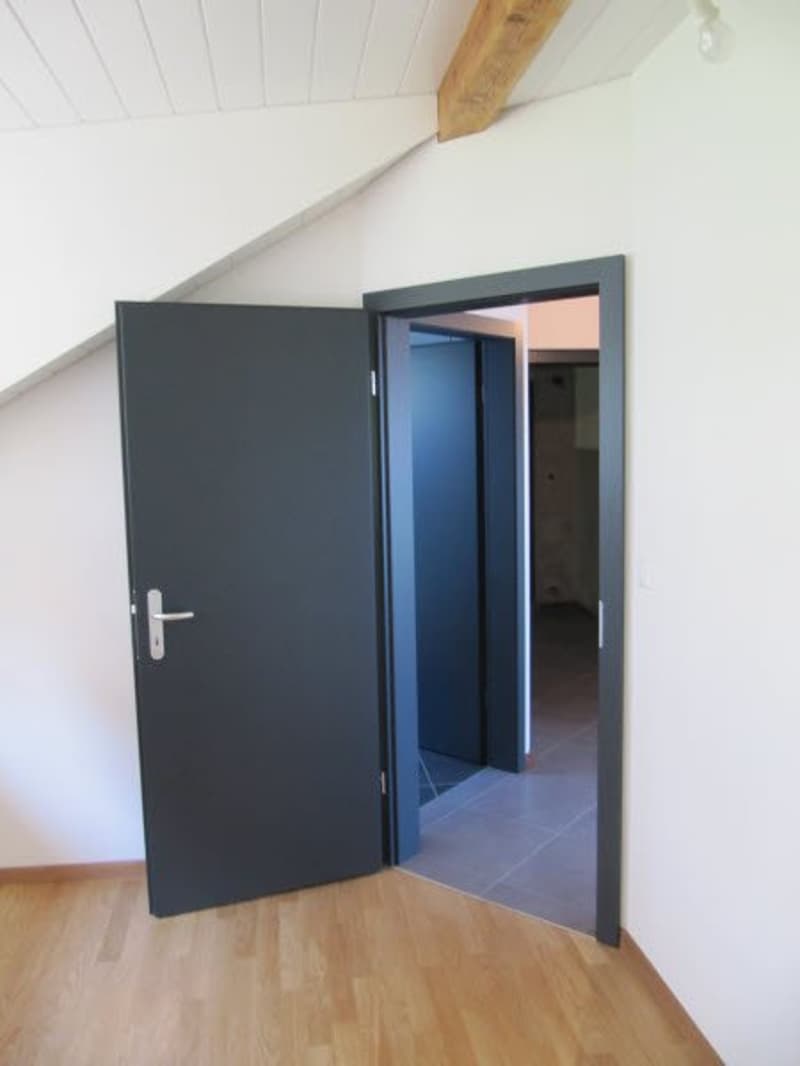 Bel appartement de 2,5 pièces (6)