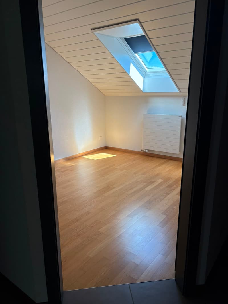 Bel appartement de 2,5 pièces (5)