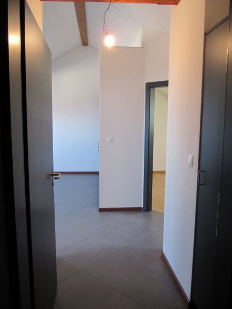 Bel appartement de 2,5 pièces (3)