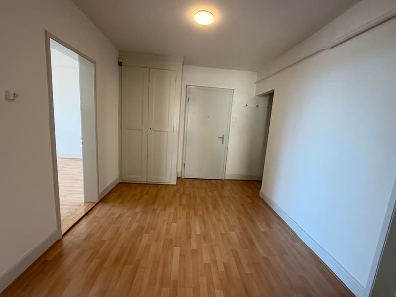Bel appartement de 4 pièces de 90m2 avec vue sur le lac et les Alpes (9)