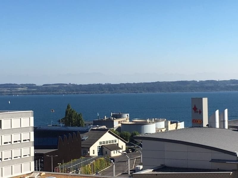 Bel appartement de 4 pièces de 90m2 avec vue sur le lac et les Alpes (1)