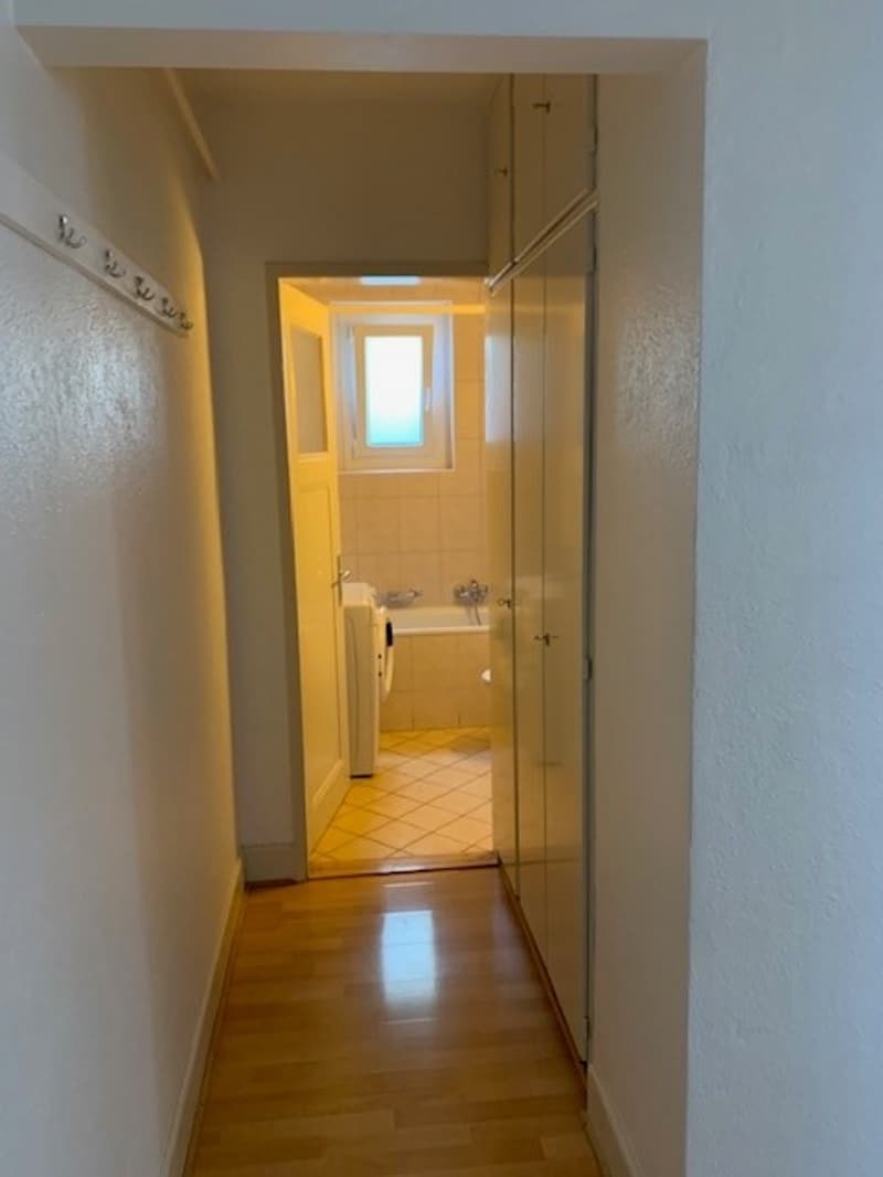 Bel appartement de 4 pièces de 90m2 avec vue sur le lac et les Alpes (7)
