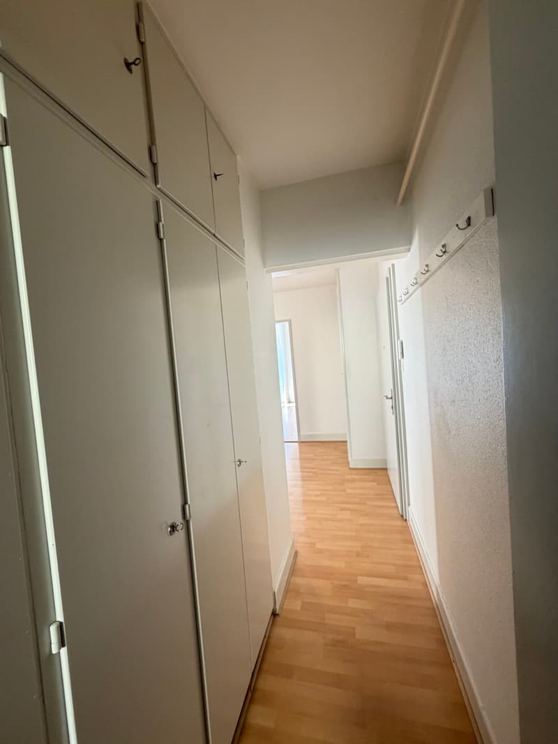 Bel appartement de 4 pièces de 90m2 avec vue sur le lac et les Alpes (4)
