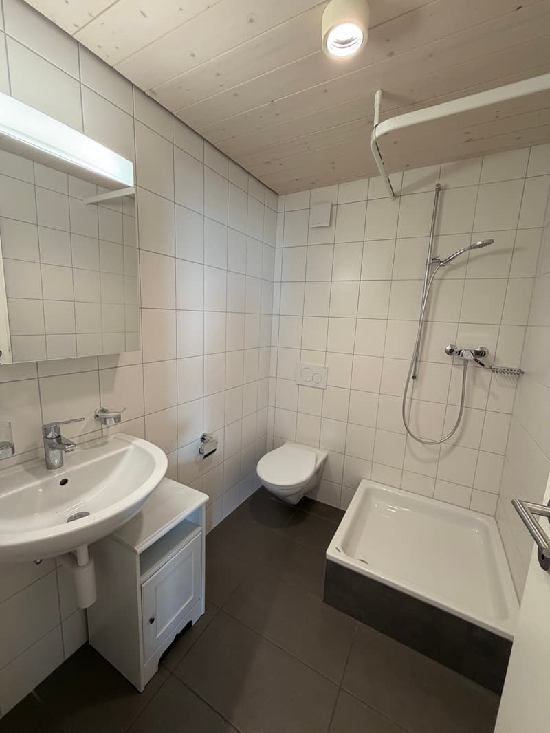 Charmant duplex lumineux de 4 pièces avec mezzanine ? Neuchâtel (9)