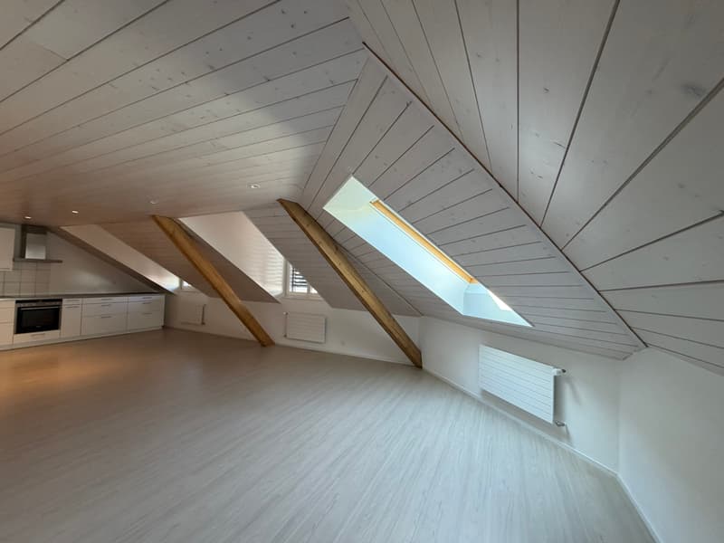 Charmant duplex lumineux de 4 pièces avec mezzanine ? Neuchâtel (3)