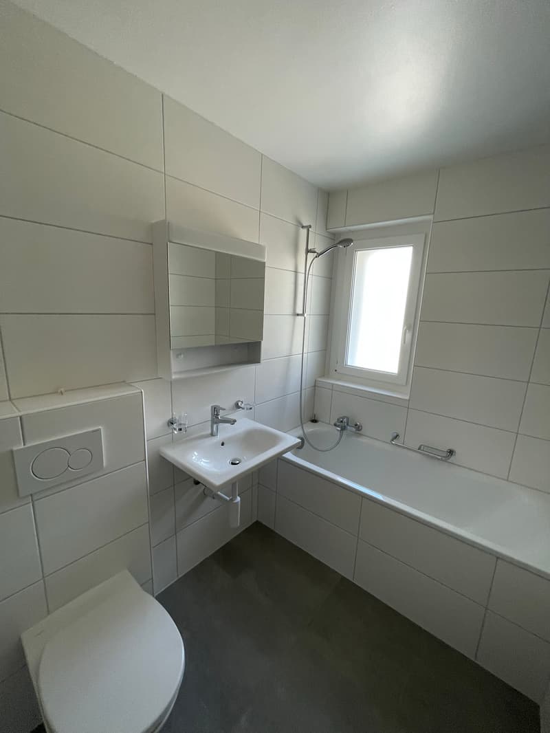 Appartement de 3 pièces joliment rénové et lumineux avec un grand b... (5)