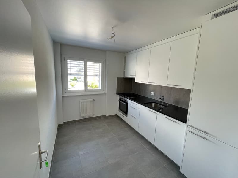 Appartement de 3 pièces joliment rénové et lumineux avec un grand b... (4)