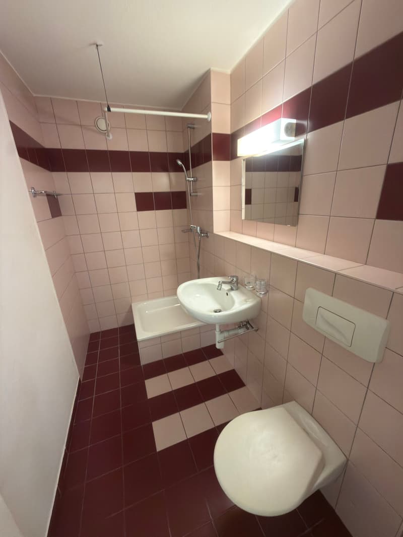 Appartement de 4.5 pièces avec balcon (8)