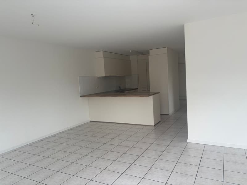 Appartement entièrement rénové et ensoleillé de 4,5 pièces avec balcon (3)