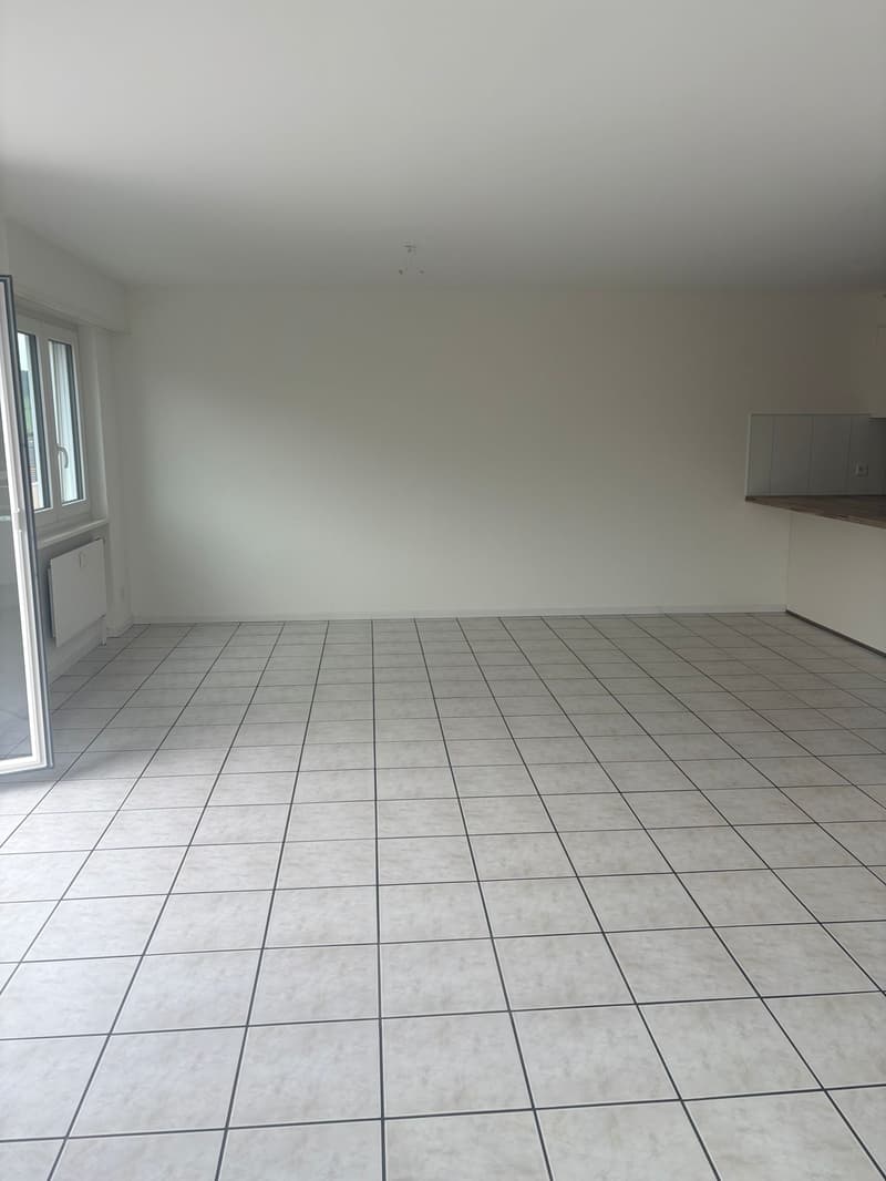Appartement entièrement rénové et ensoleillé de 4,5 pièces avec balcon (4)