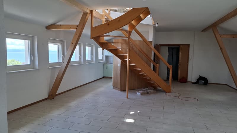 Magnifique appartement partiellement rénové de 3.5 pièces avec vue ... (3)