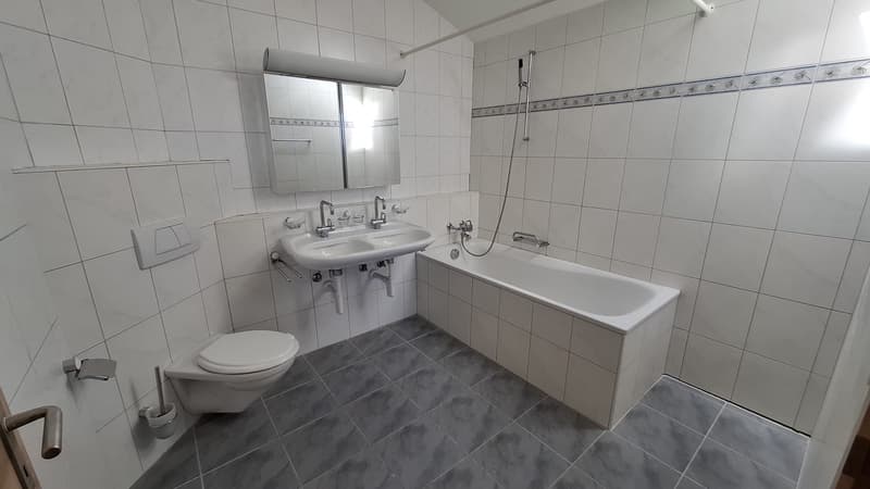 Magnifique appartement partiellement rénové de 3.5 pièces avec vue ... (6)