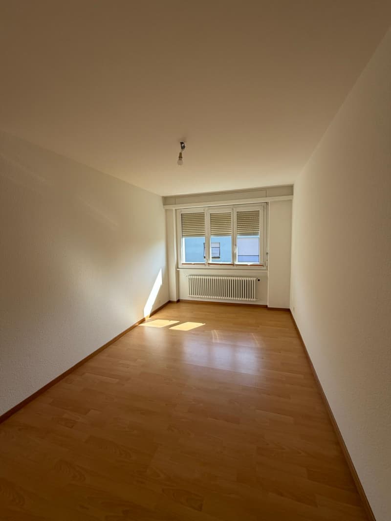 Appartement entièrement rénové avec un magnifique dégagement sur le... (5)