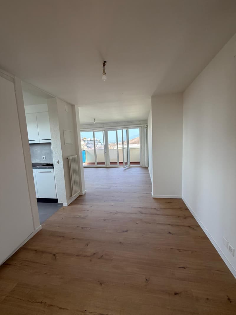 Appartement entièrement rénové avec un magnifique dégagement sur le... (2)