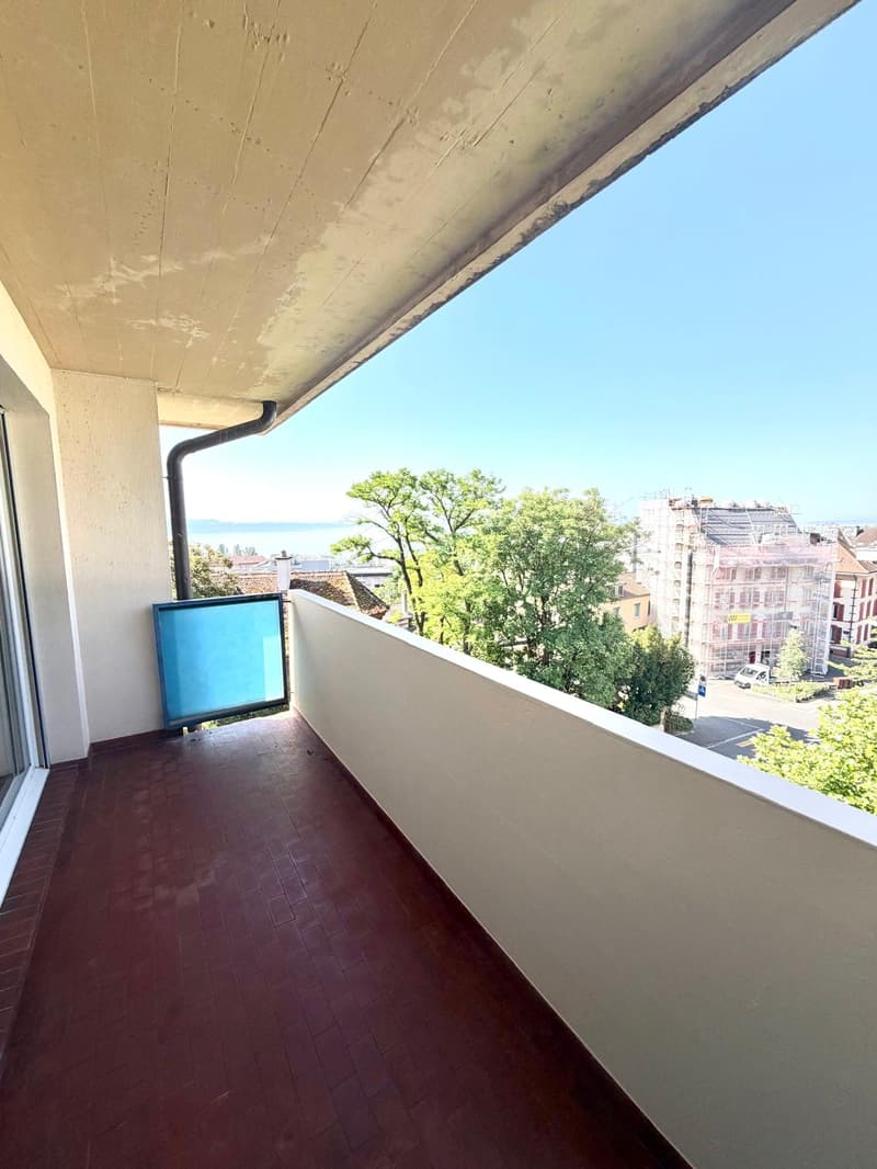 Appartement entièrement rénové avec un magnifique dégagement sur le... (6)