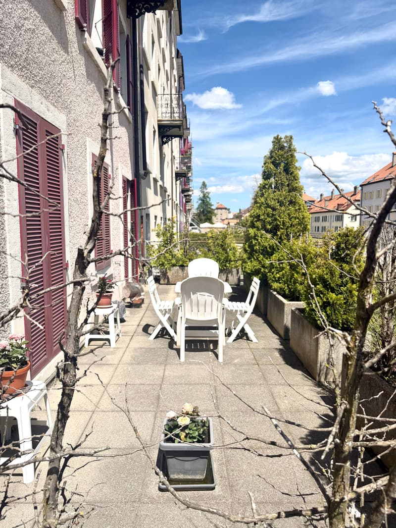 Magnifique appartement-terrasse entièrement rénové de 2 pièces (4)