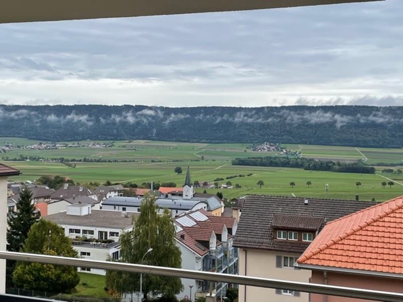 Bel appartement de 2.5 pièces situé au 5ème étage (12)