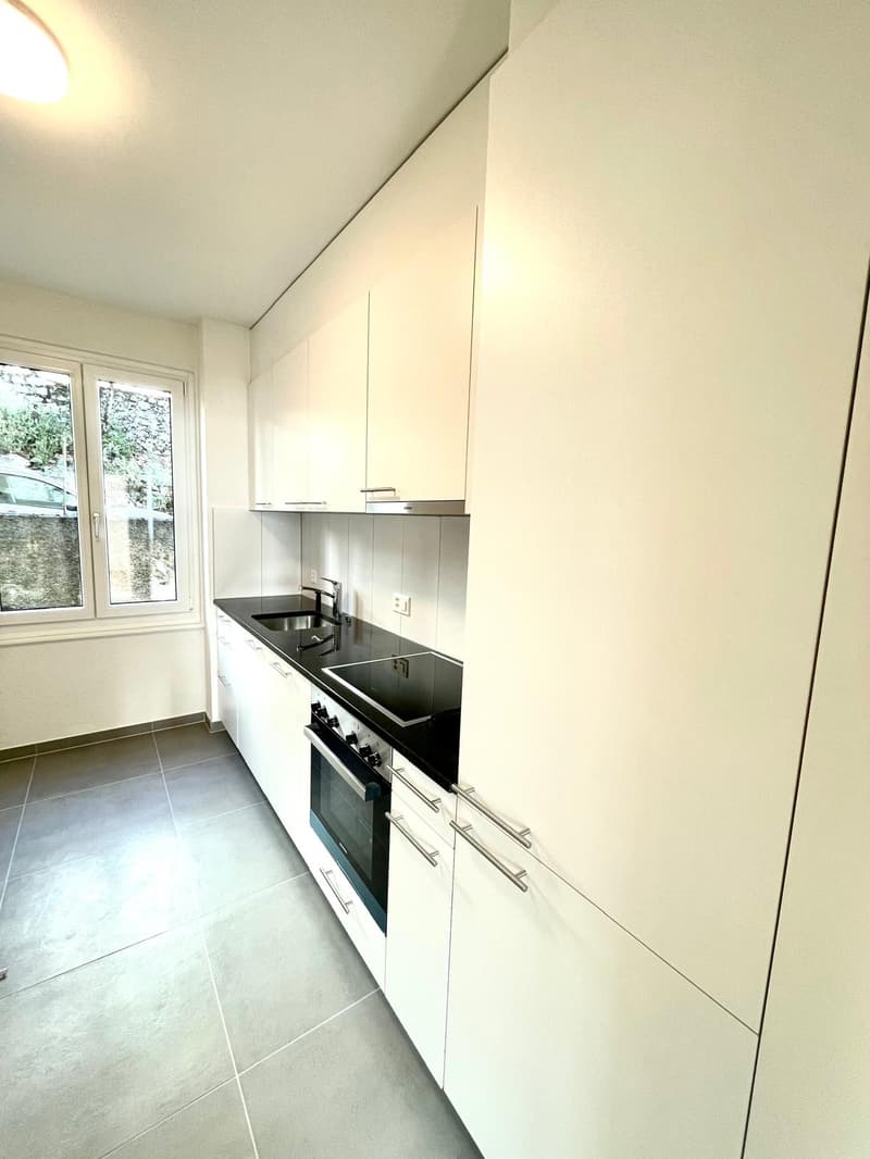 Avec vue sur le lac et les Alpes, magnifique appartement de 3,5 pièces (2)