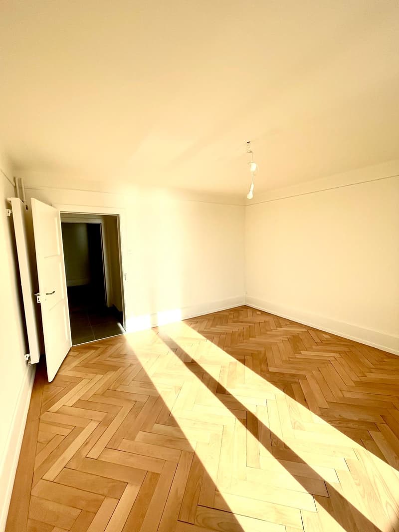 Avec vue sur le lac et les Alpes, magnifique appartement de 3,5 pièces (7)