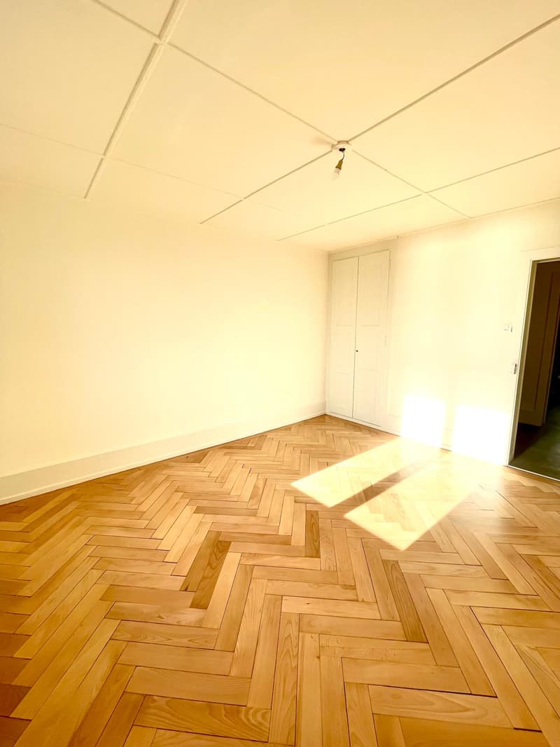 Avec vue sur le lac et les Alpes, magnifique appartement de 3,5 pièces (6)