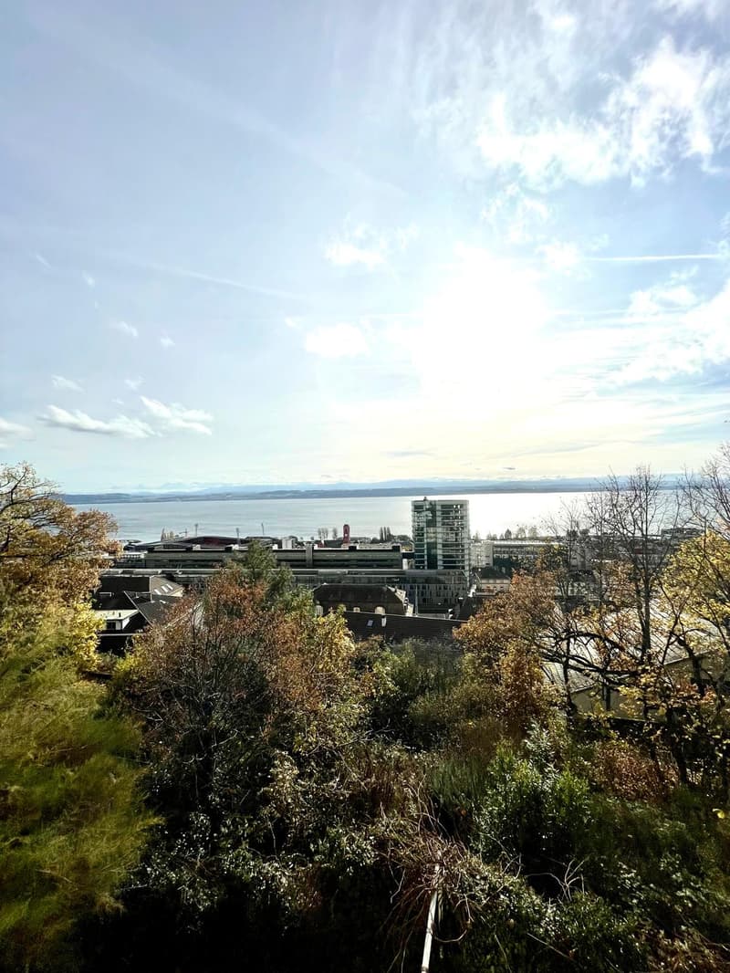 Avec vue sur le lac et les Alpes, magnifique appartement de 3,5 pièces (13)