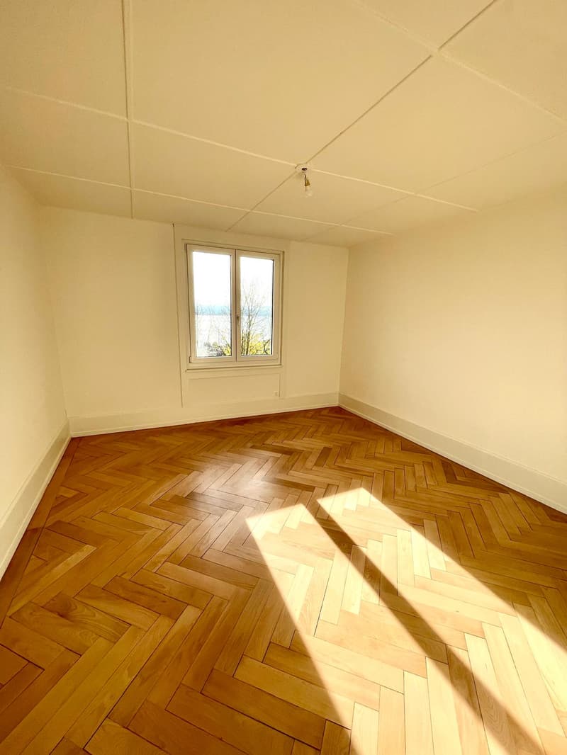 Avec vue sur le lac et les Alpes, magnifique appartement de 3,5 pièces (8)