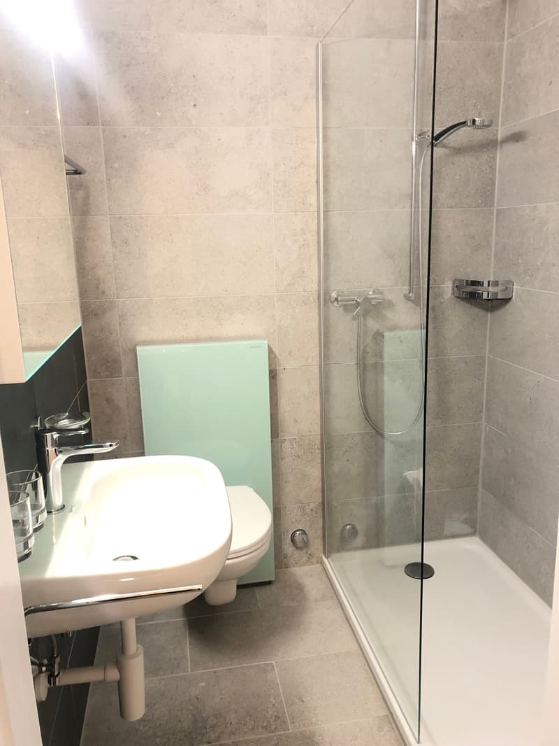 Appartement moderne, proche de toutes commodités idéal pour une per... (4)