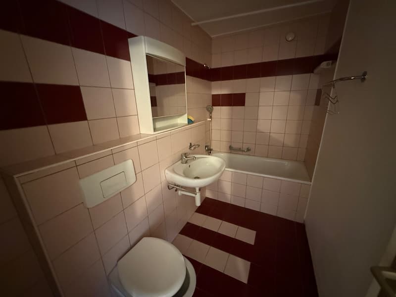 Appartement de 3 pièces avec balcon (5)