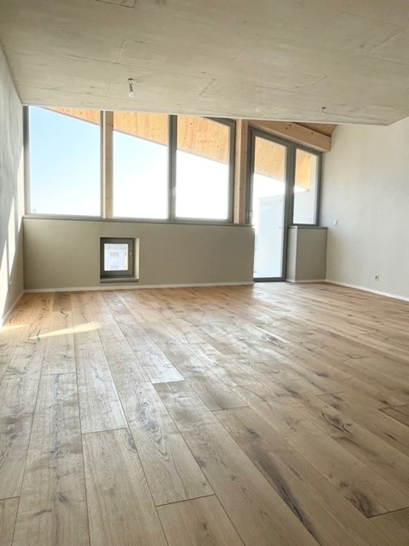 Superbe appartement neuf de 3,5 pièces avec beau dégagement (5)