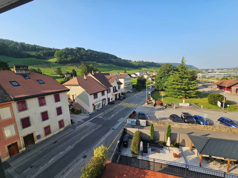 Appartement de 4,5 pièces situé au 3e étage (9)