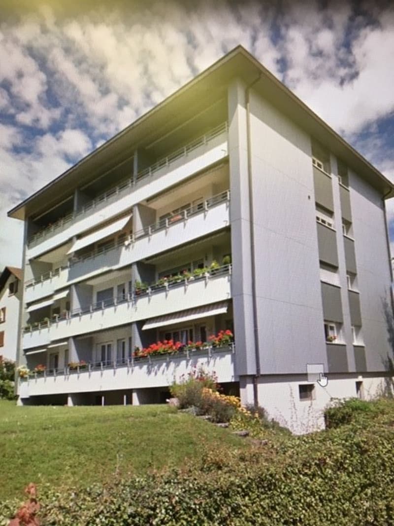 Appartement spacieux, actuellement en cours de rénovation partielle... (5)