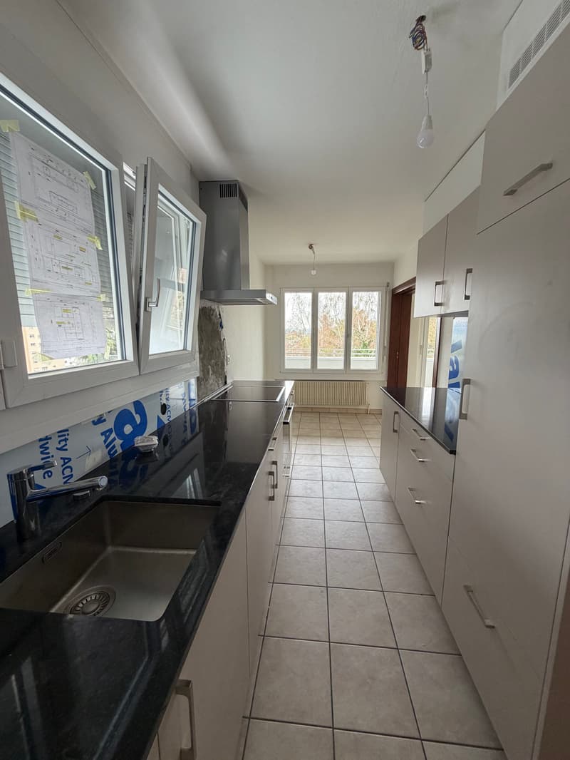 Appartement spacieux, actuellement en cours de rénovation partielle... (4)