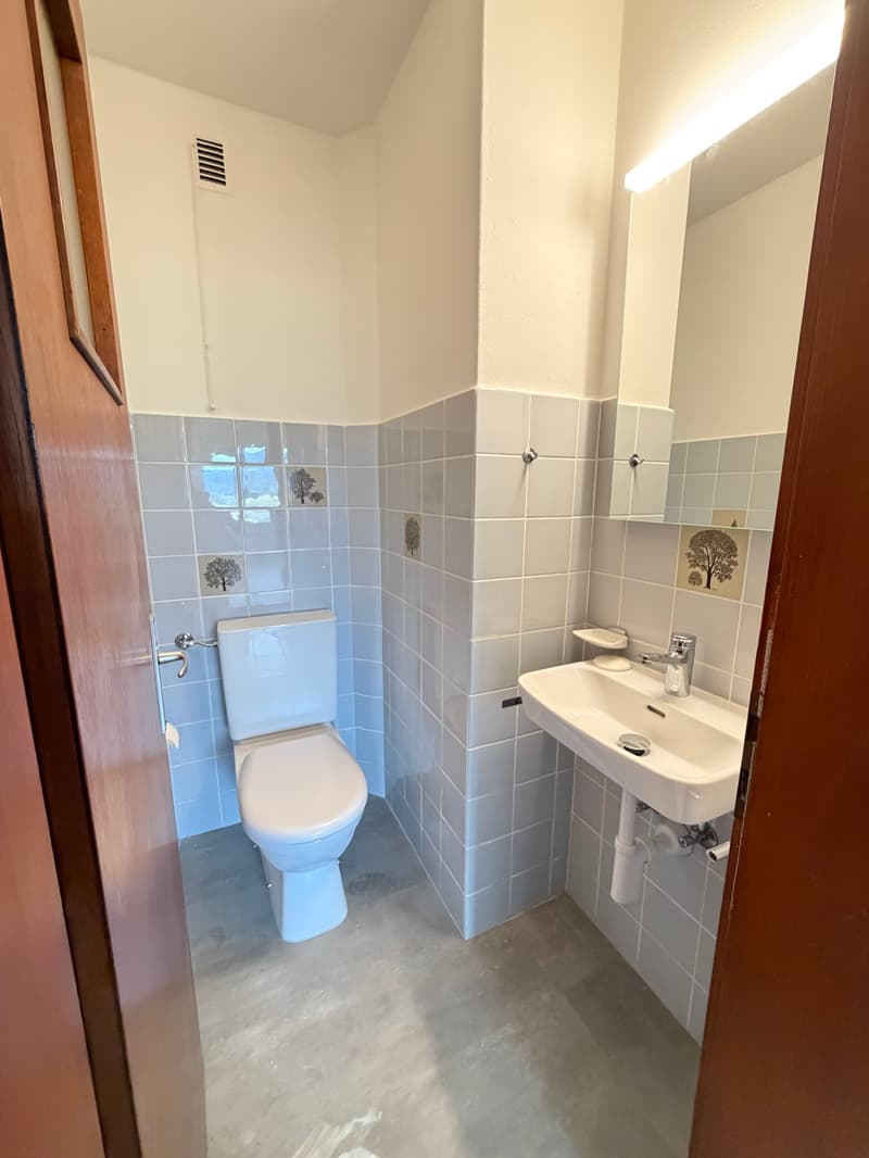 Appartement spacieux, actuellement en cours de rénovation partielle... (9)