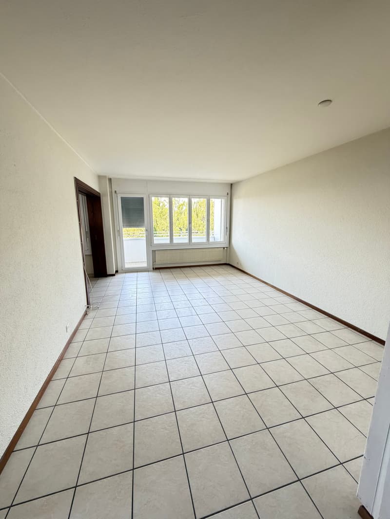 Appartement spacieux, actuellement en cours de rénovation partielle... (4)