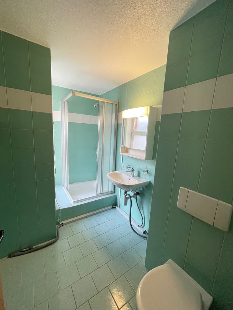 Appartement de 5 pièces en duplex avec balcon (8)