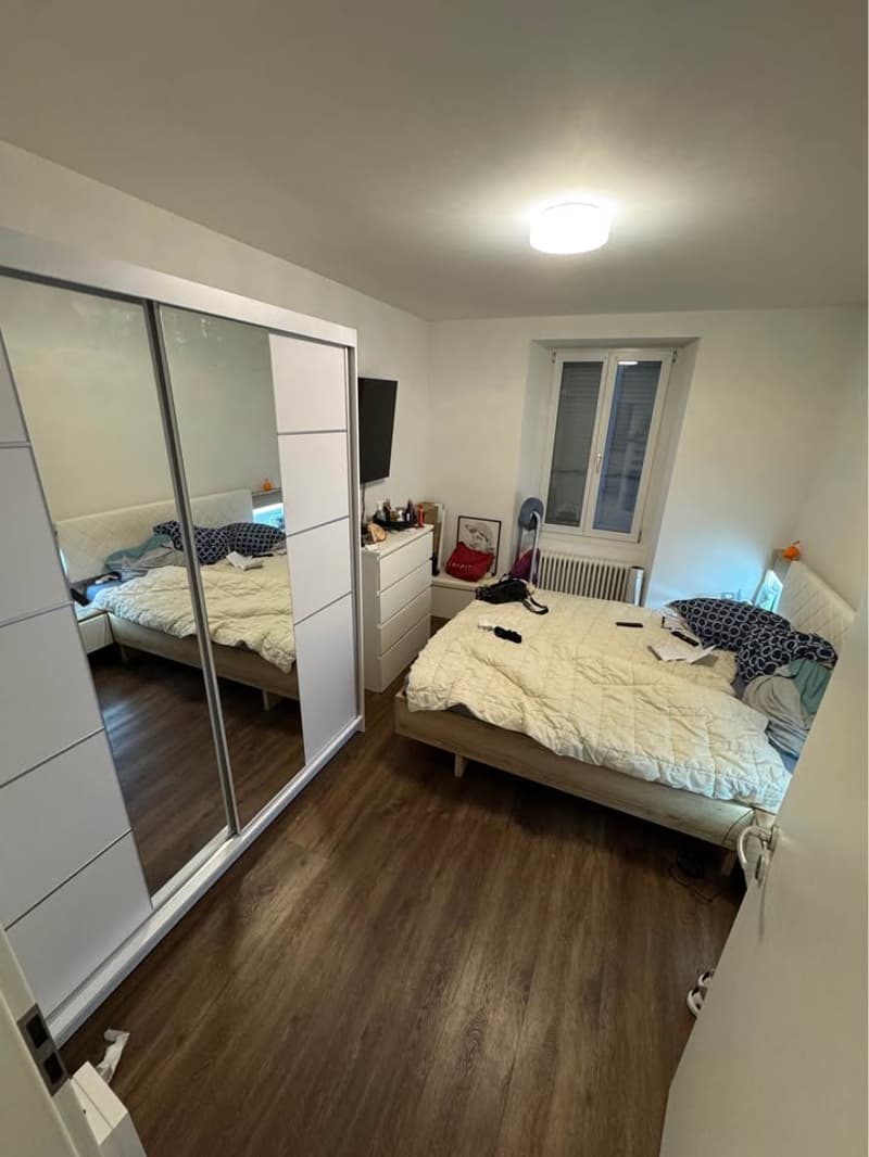 Bel appartement de 3 pièces (5)