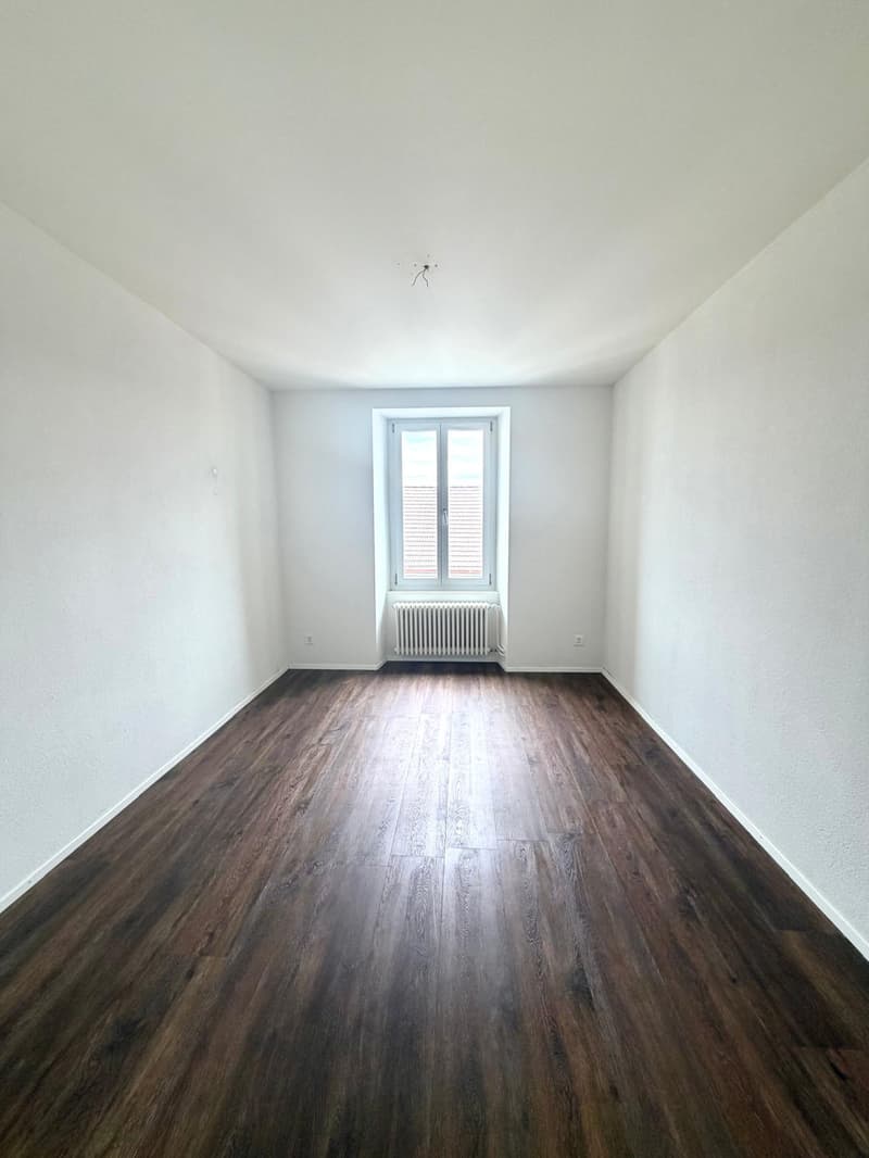 Bel appartement de 3 pièces (5)