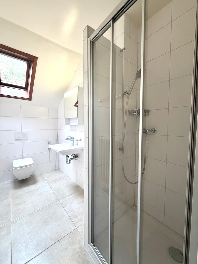 Bel appartement de 3 pièces (7)