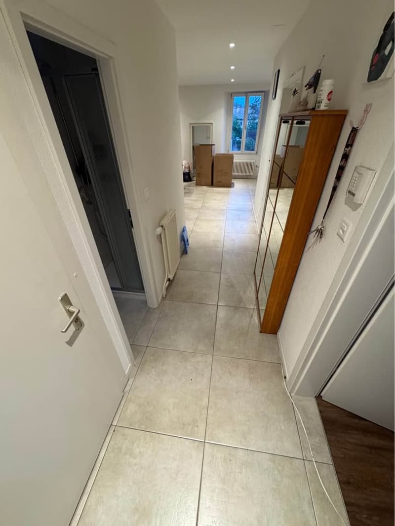 Bel appartement de 3 pièces (4)