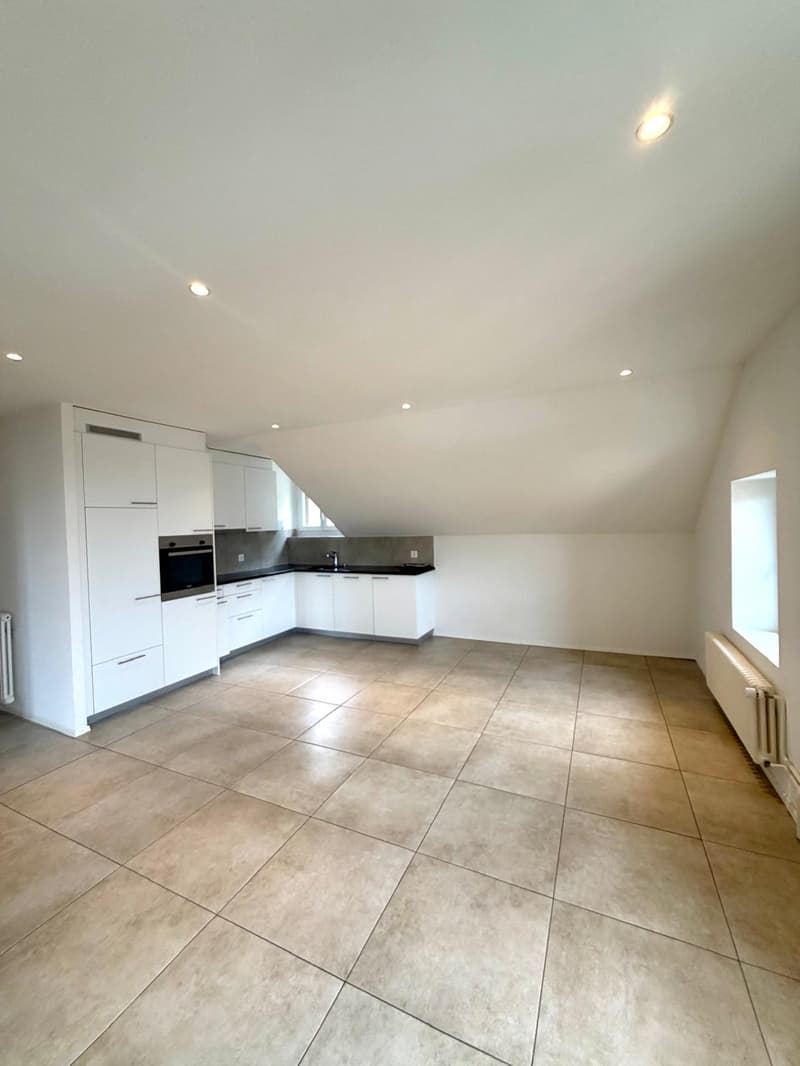 Bel appartement de 3 pièces (1)