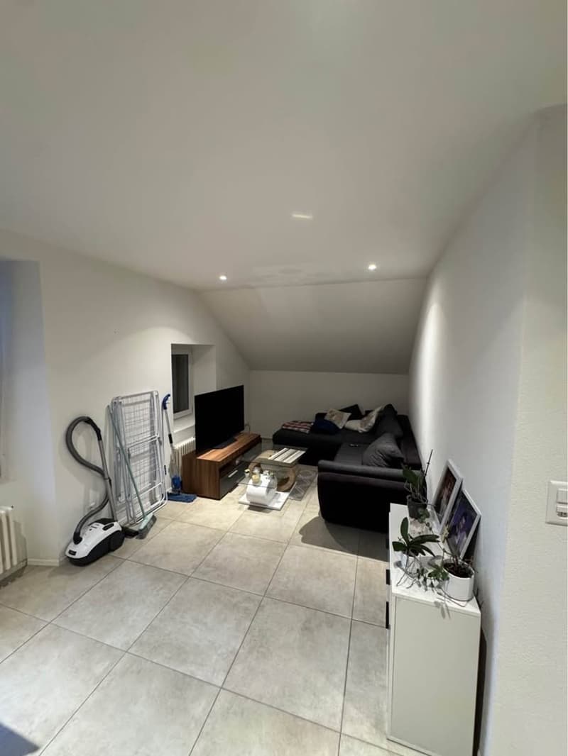 Bel appartement de 3 pièces (3)