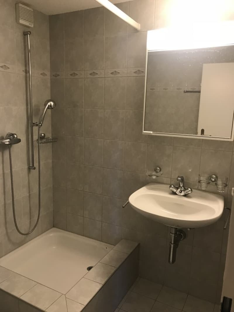 Appartement de 3 pièces en duplex situé au 3ème étage (7)