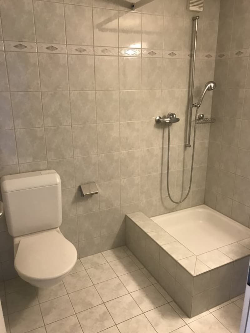 Appartement de 3 pièces en duplex situé au 3ème étage (8)