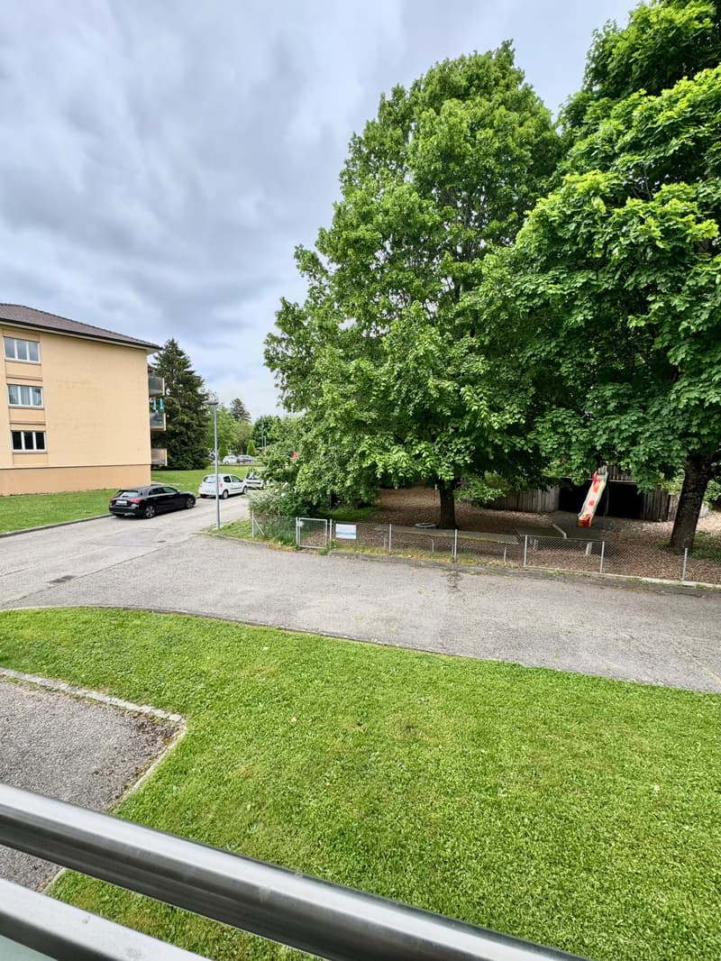 Charmant appartement de 3.5 pièces au rez-de-chaussée ? Environneme... (9)