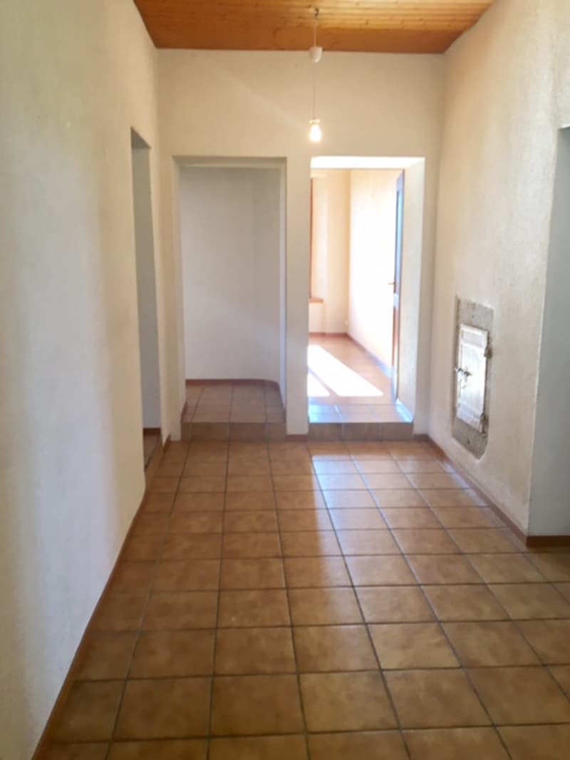 Magnifique appartement de 5.5 pièces dans un écrin de verdure (8)