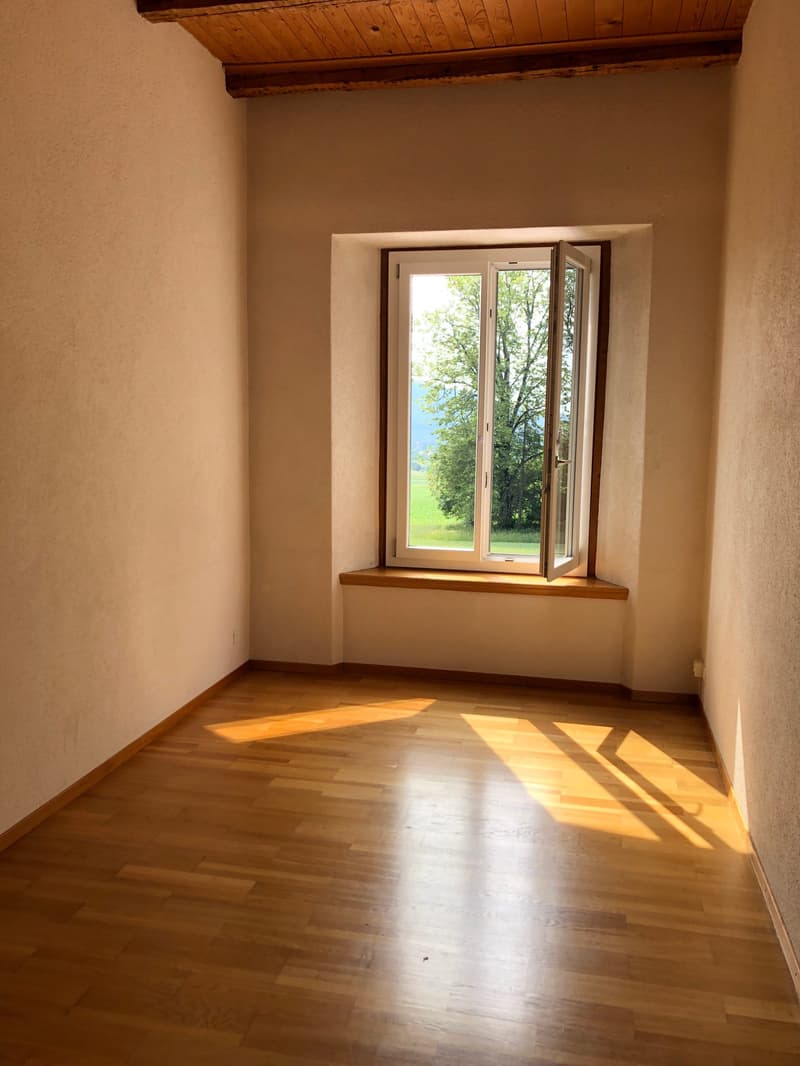 Magnifique appartement de 5.5 pièces dans un écrin de verdure (4)